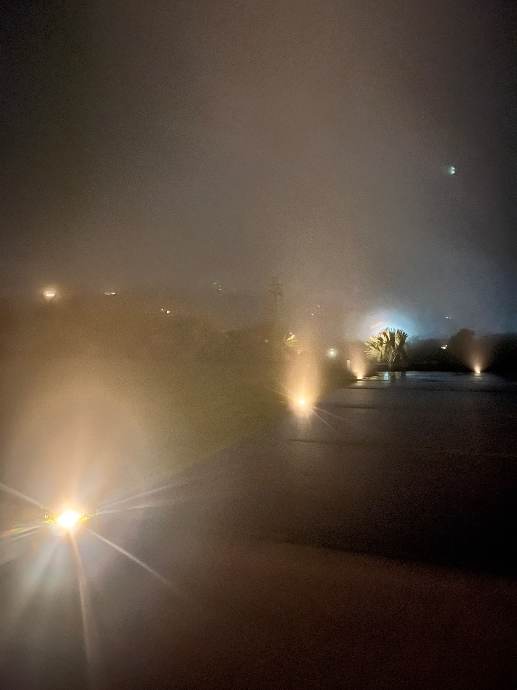 Rain and mist lit up by driveway car and house lights