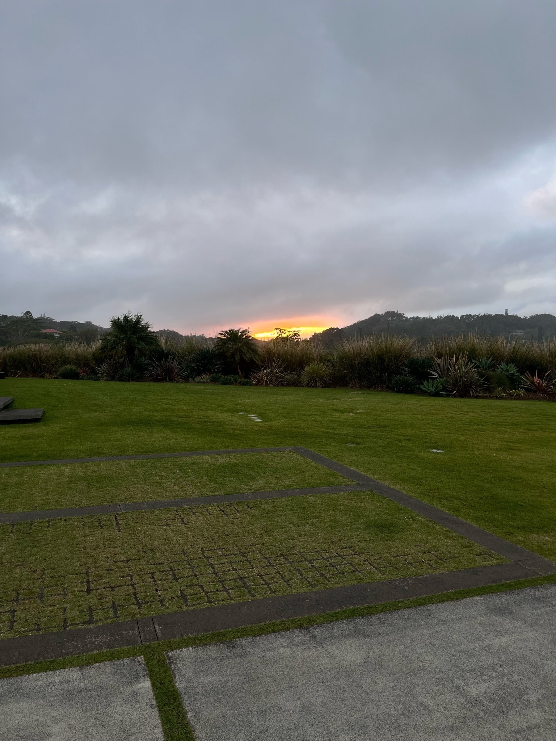 A late winter evening. A lawn and been in the foreground. Tree covered hills in the distance. Low clouds, with a break in the cloud where the sky meets the hill, the setting sun shining through