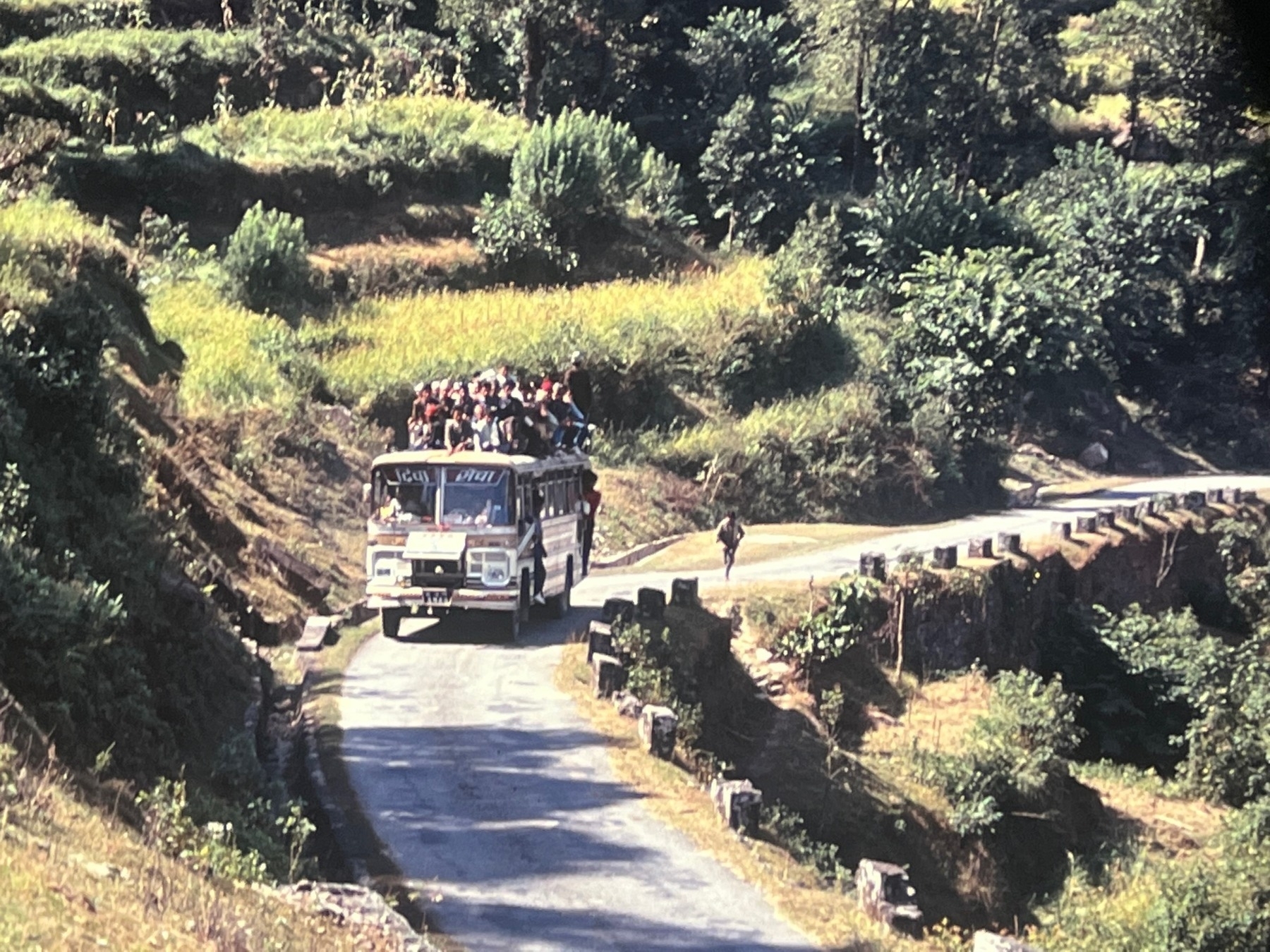 A bus, that is so full that people are sitting on top of the luggage on the roof, winds its way up a narrow road in a rural setting