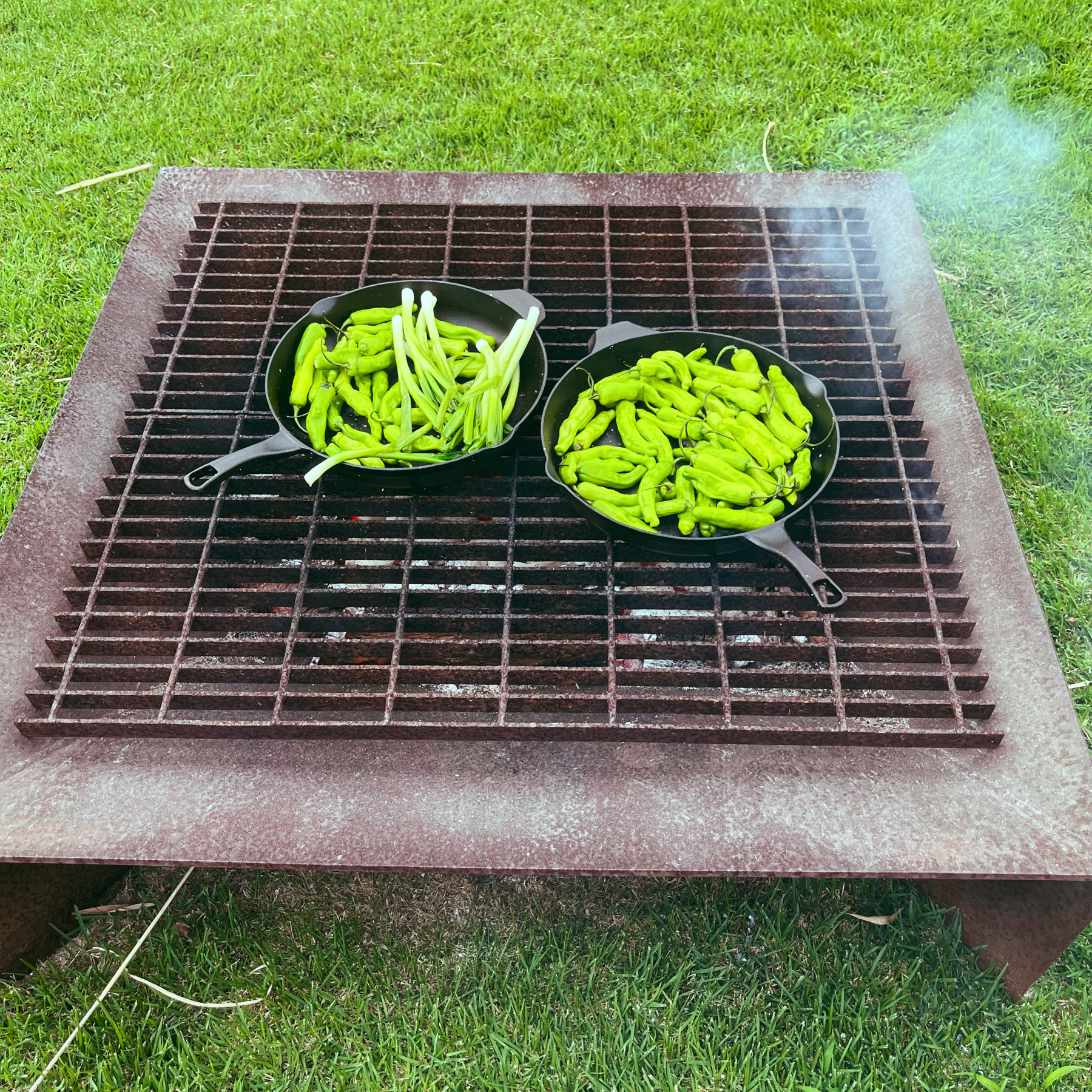 Two cast iron pans sitting on a corten steel fire bit with a grill, each pan holding shishito peppers and one having spring onions as well
