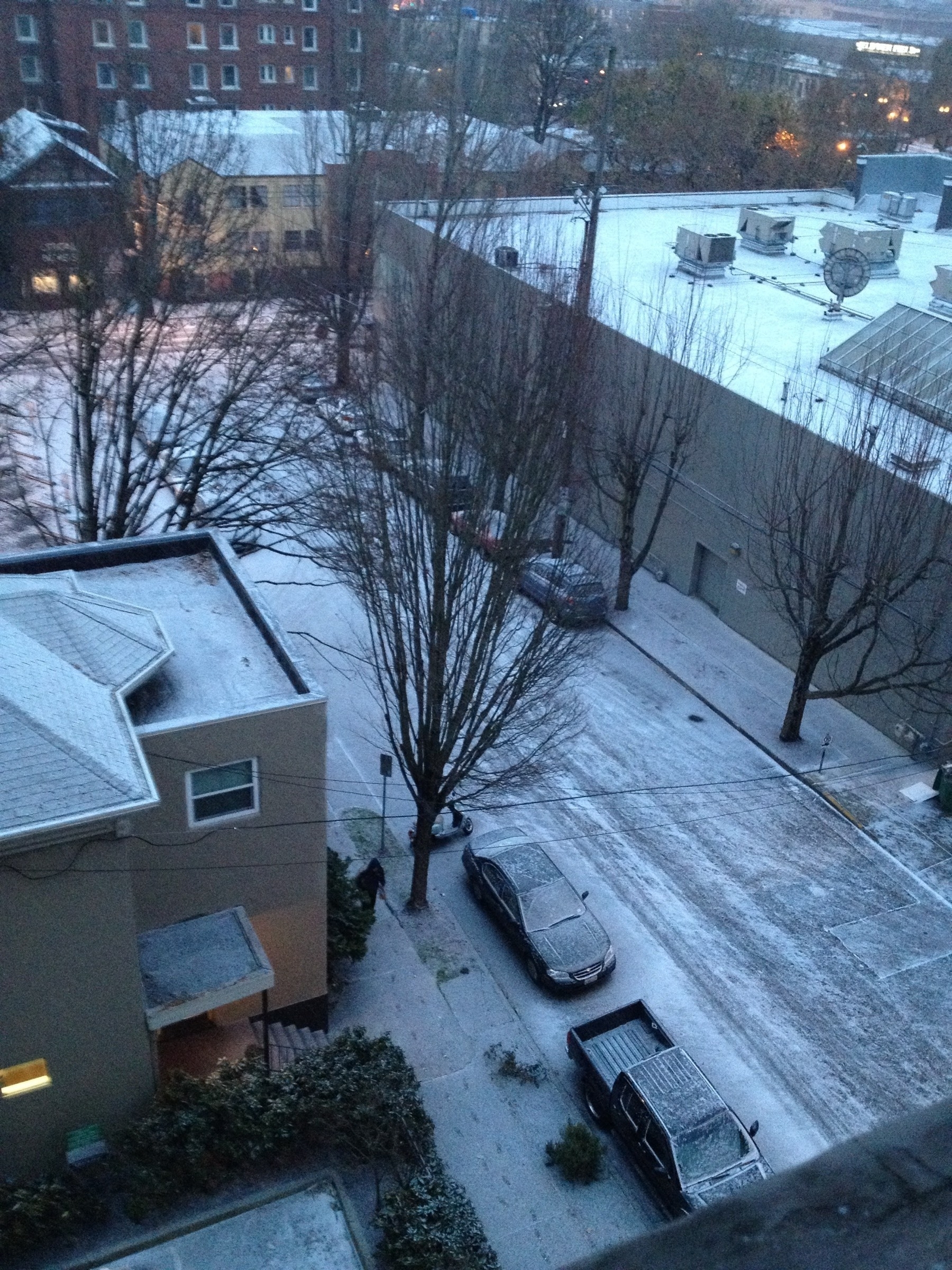 Snow on the streets of Portland, Oregon in 2013