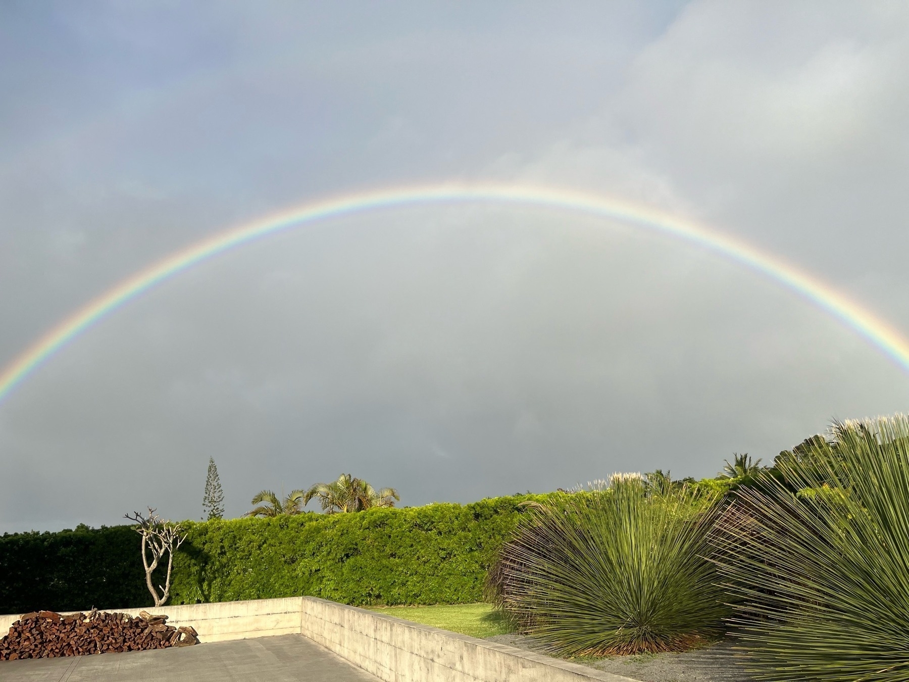 A full arc rainbow against a dark, rain threatening sky. A bush and lawn in the background. A concrete wall and partial driveway with wood stacked against the wall in the foreground