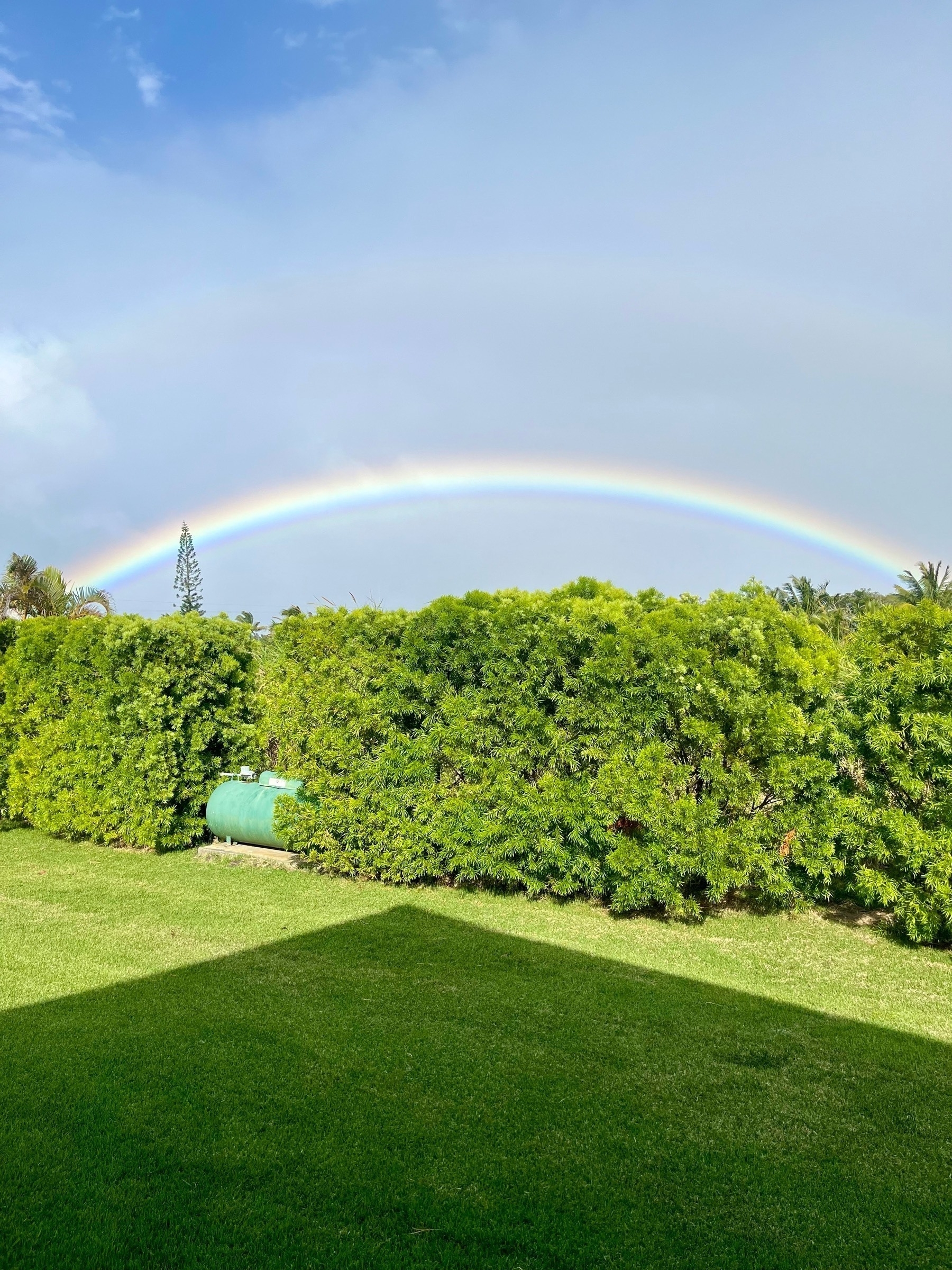 A rainbow over a hedge with a dark sky. A propane tank is in the middle of the hedge. A lawn in the foreground has the shadow of a roof on it.