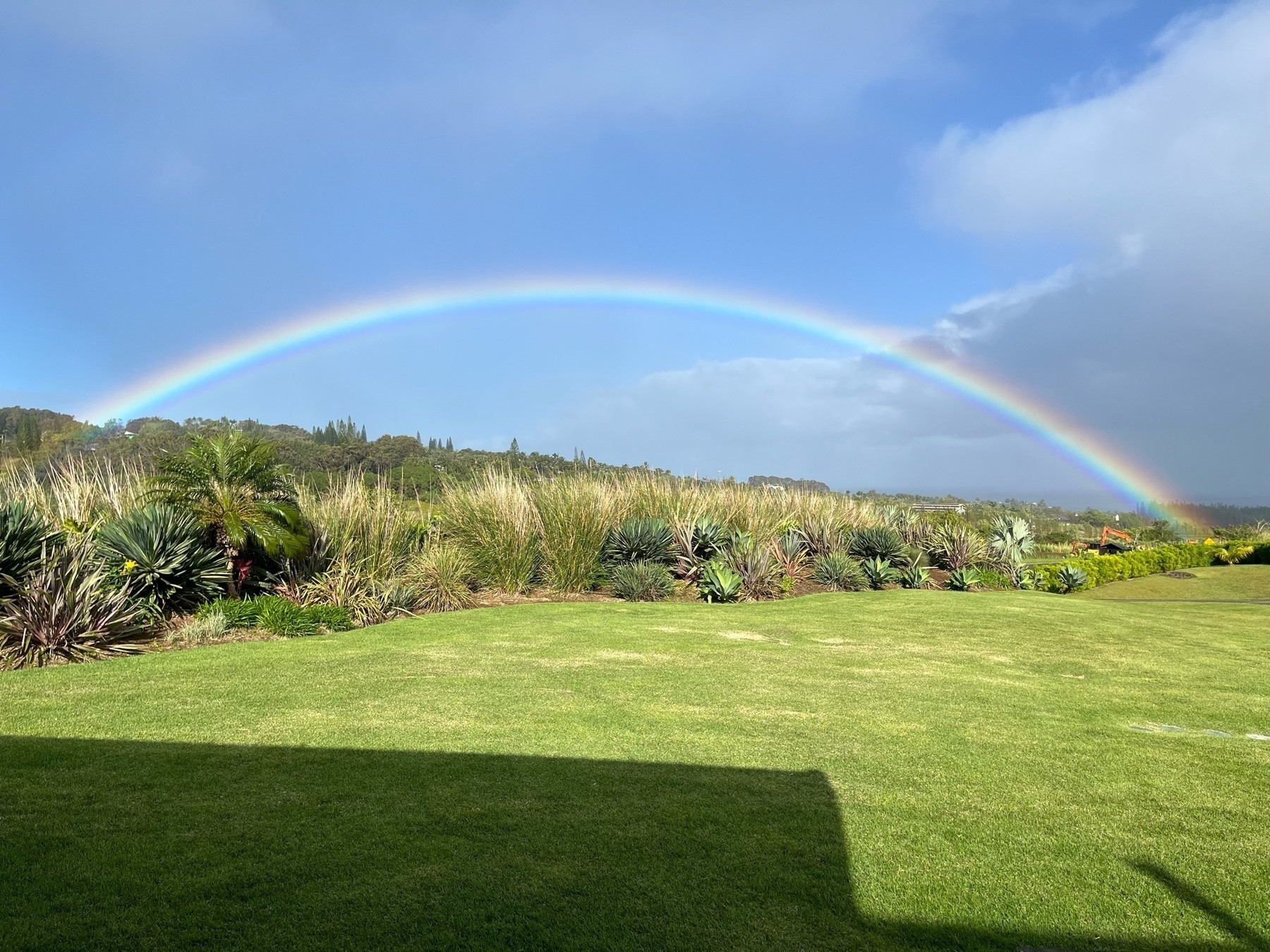A complete rainbow arching across a small valley, grass and shrubs in the foreground, the ocean in the background