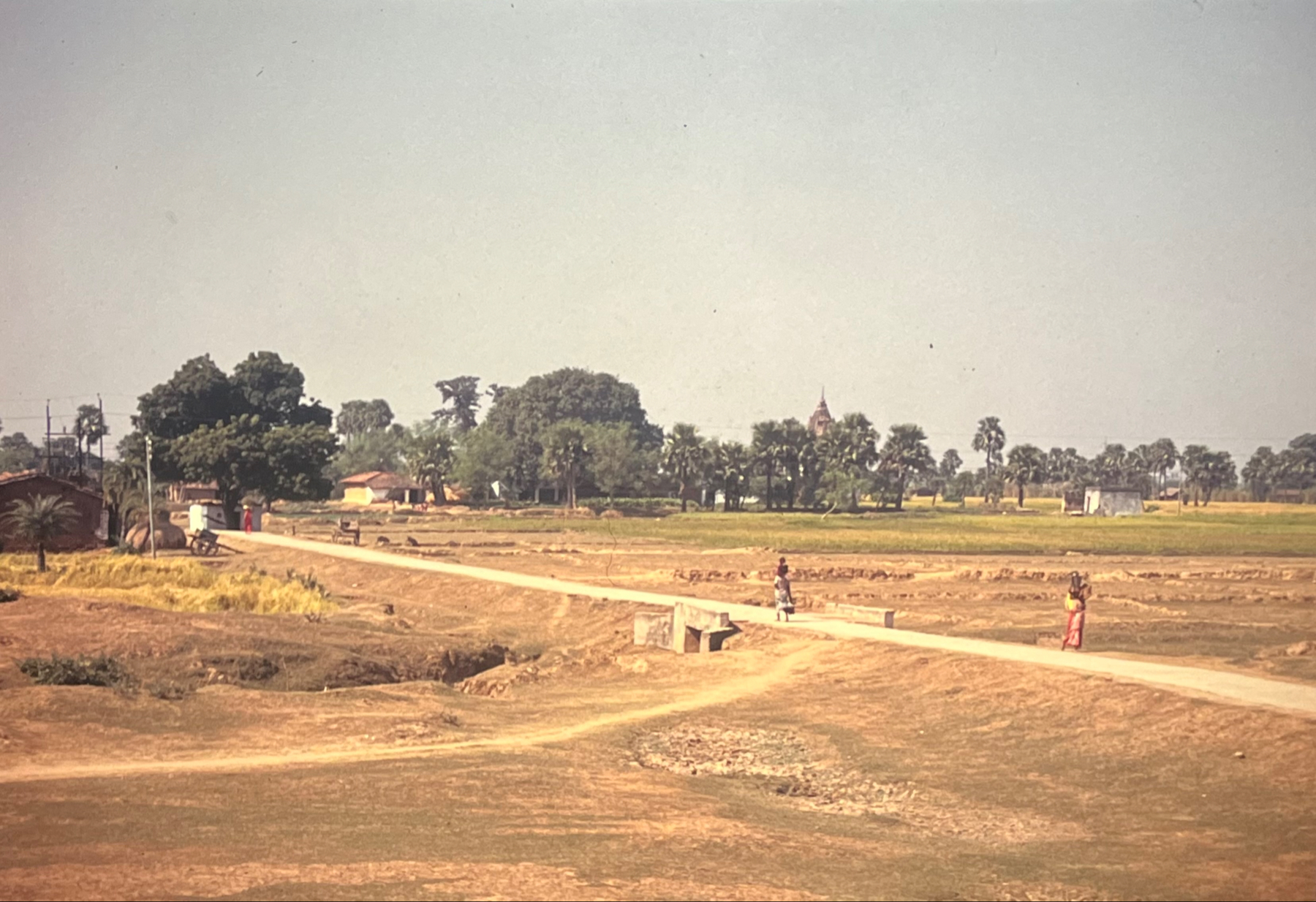 Arriving into Bodhgaya. In the distance the Mahabodhi Temple rises up above trees. Fields and dusty open ground in the foreground. A few people walking on a single track road through the center of the image.