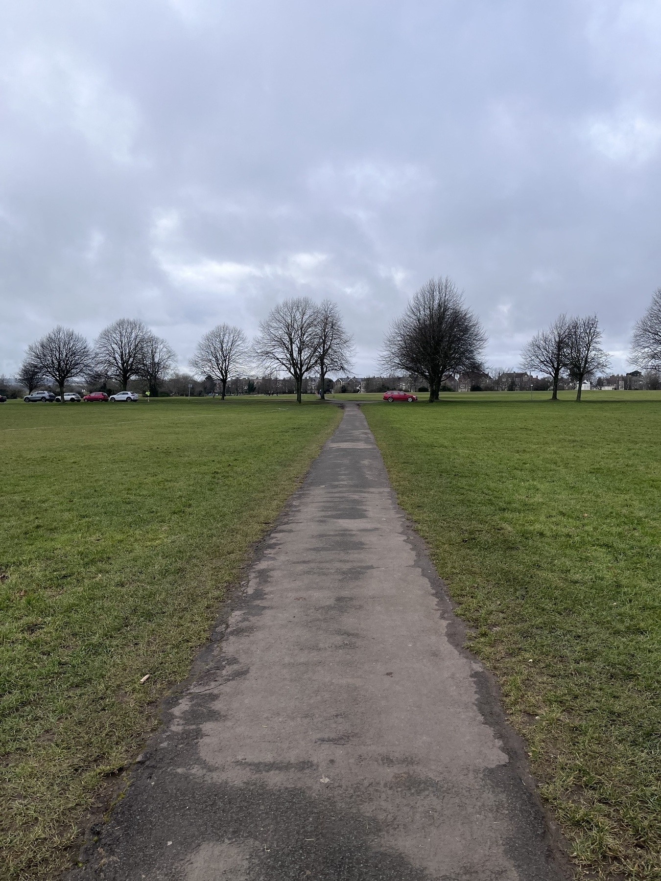 A straight paved path across a field with a row of trees with no leaves in the distance and cars parked under them. It looks like a winters day
