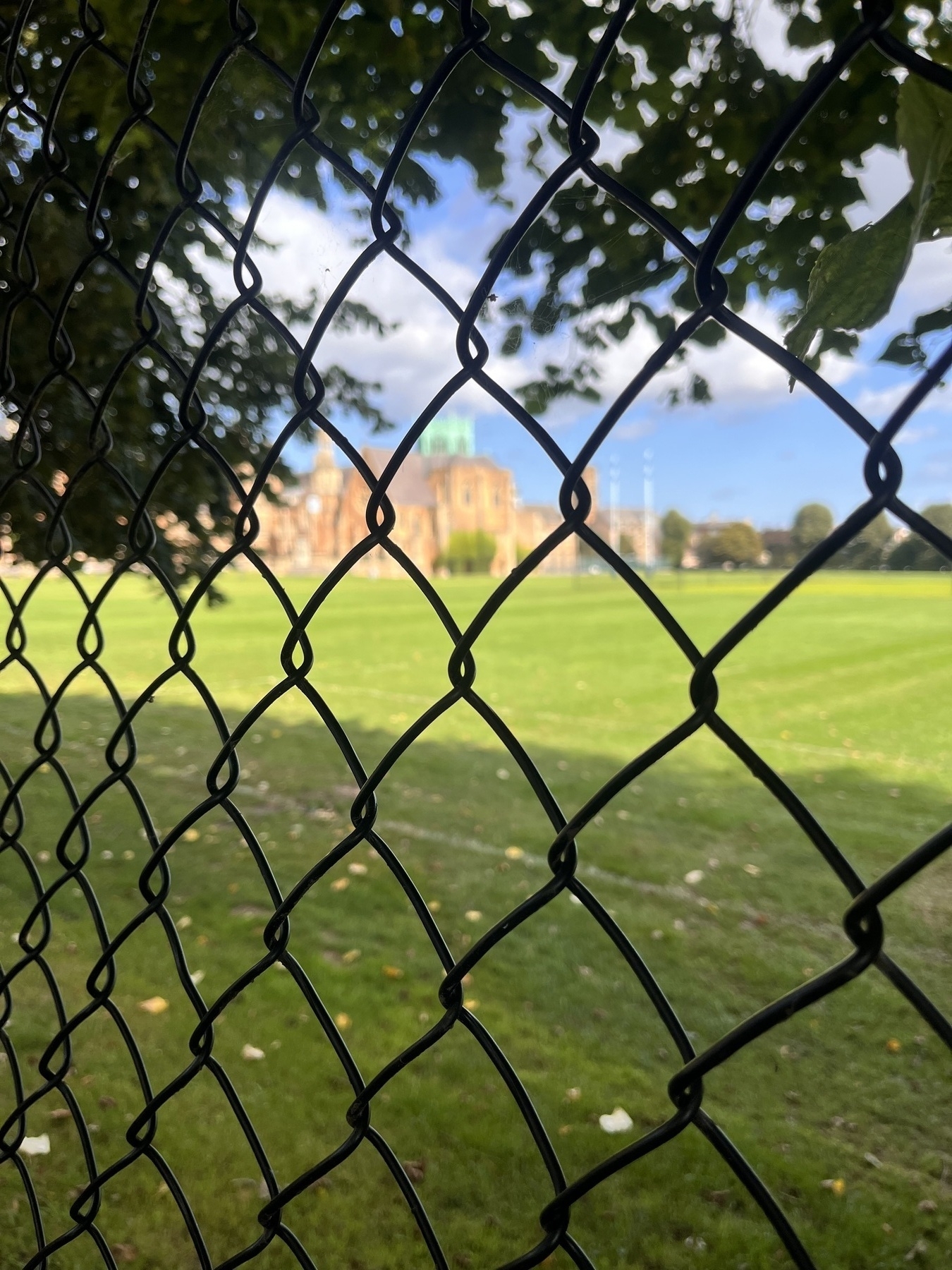 A fence in focus, behind which is a sports playing field and distant buildings.