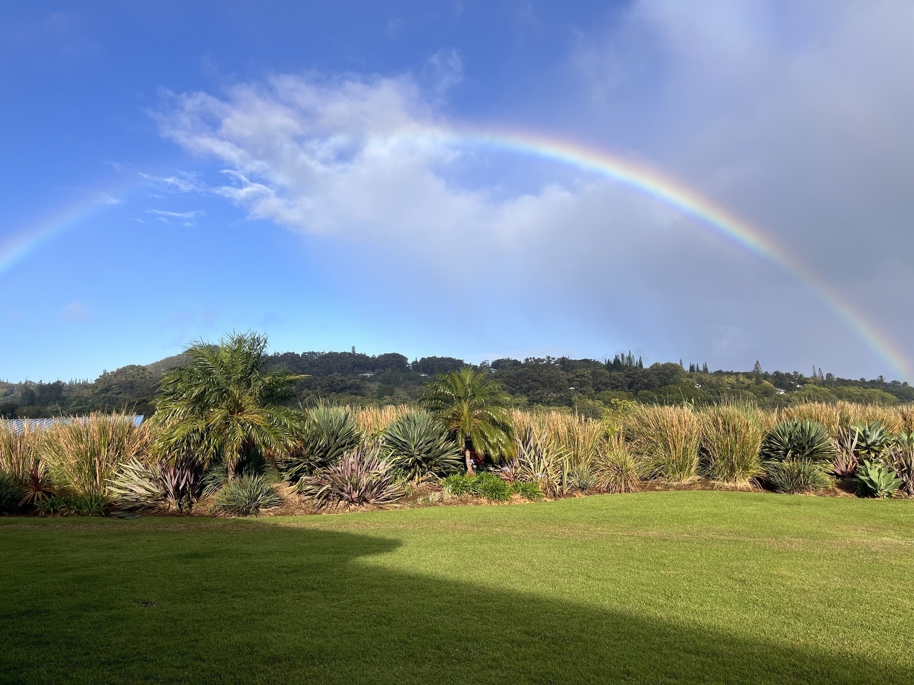 A rainbow traverses the sky, slightly broken by cloud. In the foreground is a flower bed full of vegetation and a lawn.