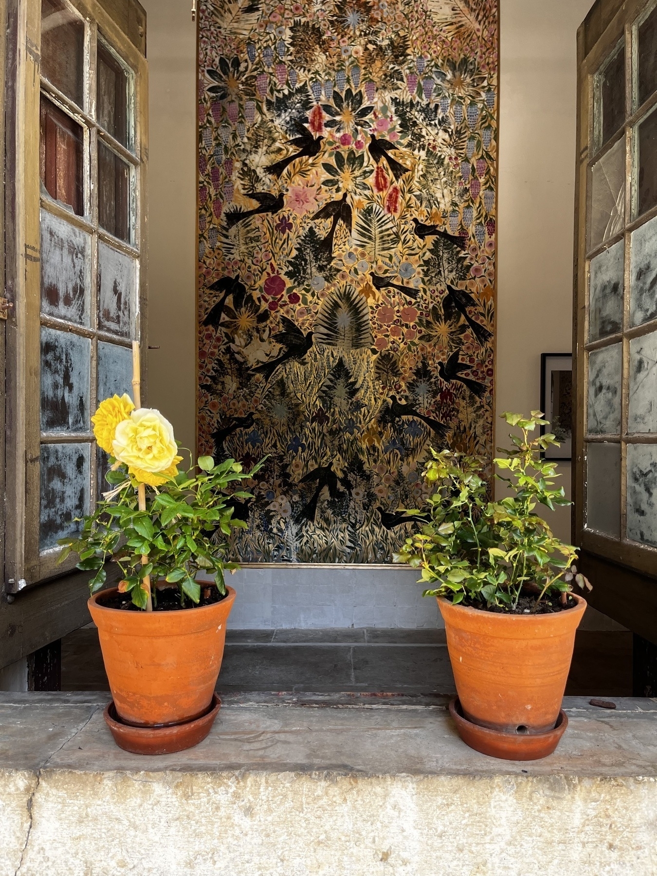 A view through an open window, outside looking in, with yellow potted roses on either side of the window, the left one flowering, and a large painting inside.