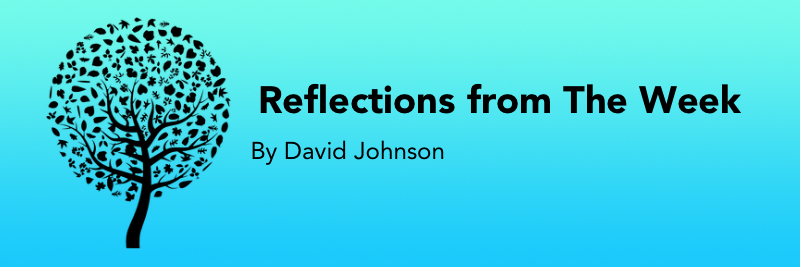 Reflections from the week by David Johnson. A letter head for my weekly newsletter. Black writing on a blue background with a drawing of a tree to the left